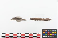 Foto von Bronzering (NHMW-PRAE-023888)